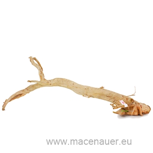 Finger Wood 81229