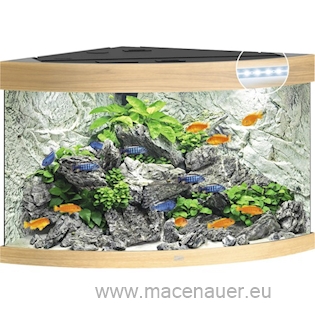 JUWEL akvarijní set TRIGON 190 LED, světle hnědá, 190 l