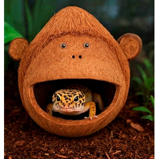Coco Monkey 1