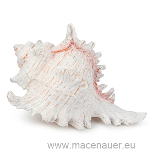 MACENAUER Mušle Murex, 1ks