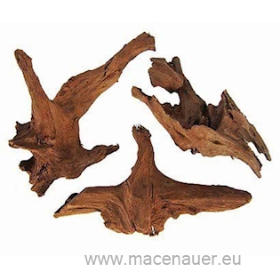 MACENAUER Mangroven-Wurzel, Small 15-25 cm