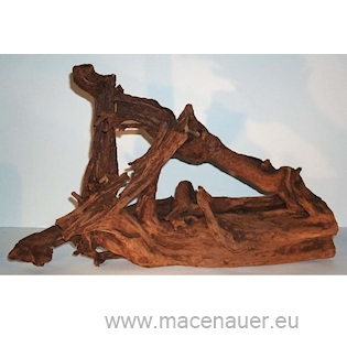MACENAUER Mangroven-Wurzel, Medium 25-35 cm 