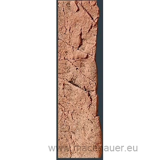 BACK TO NATURE Slimline 50D 10x45 cm Red Gneiss