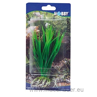 HOBBY Dekorace Cyperus, 16 cm