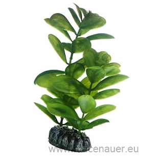 HOBBY Plastová rostlina Saururus, 16 cm