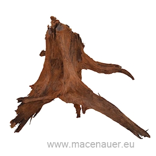 MACENAUER Kořen Amazonas Root XL 40-60 cm