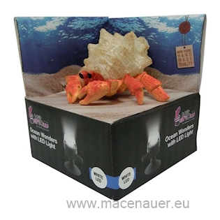 HYDOR H2shOw Ocean Wonders Poustevnický krab + bílé LED 11x13x6 cm