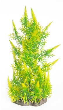 ORBIT Plastová rostlina, Deluxe medium Nr. 18, 17 cm