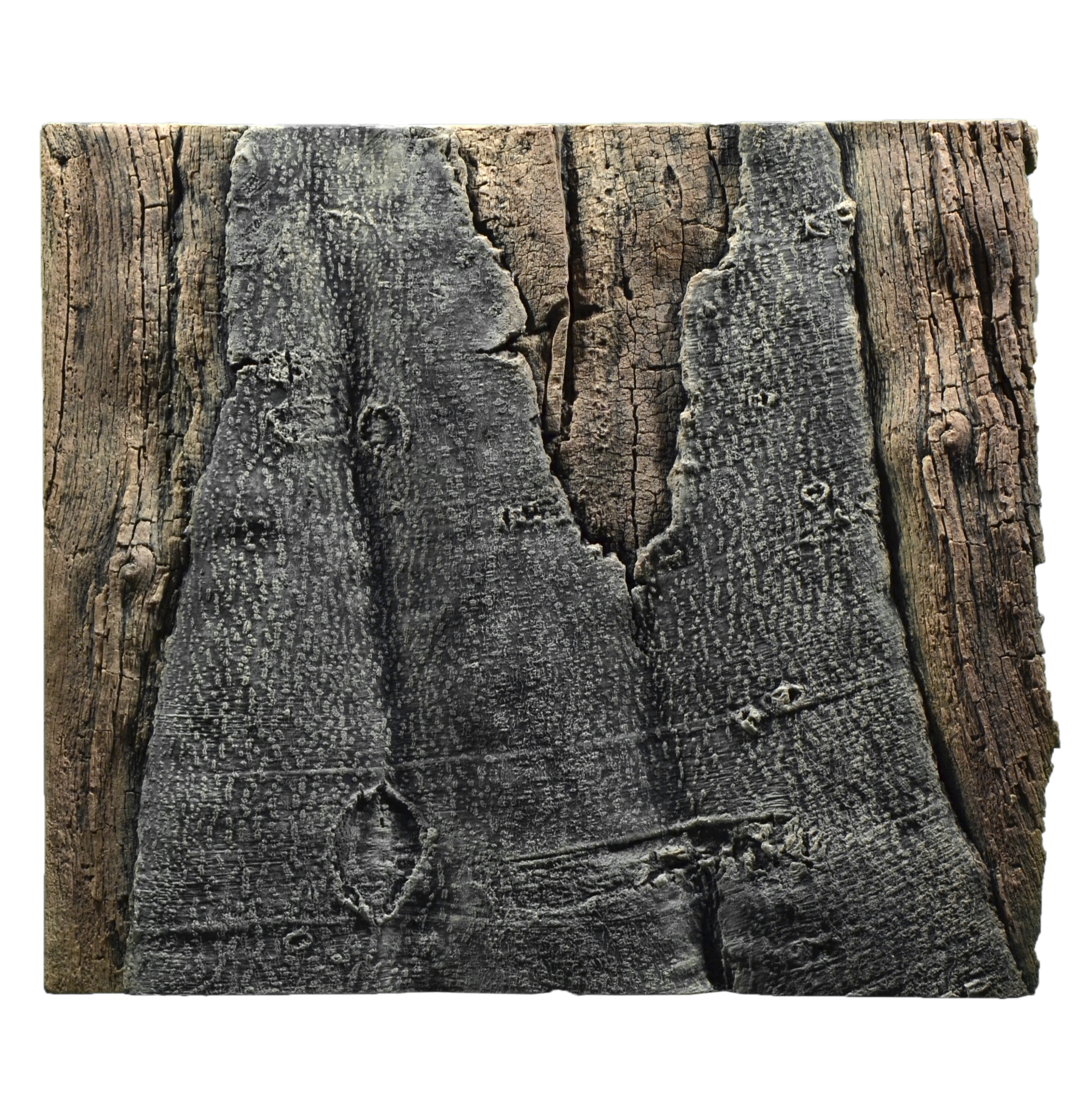 BACK TO NATURE Slimline 50A Amazonas 50x45 cm