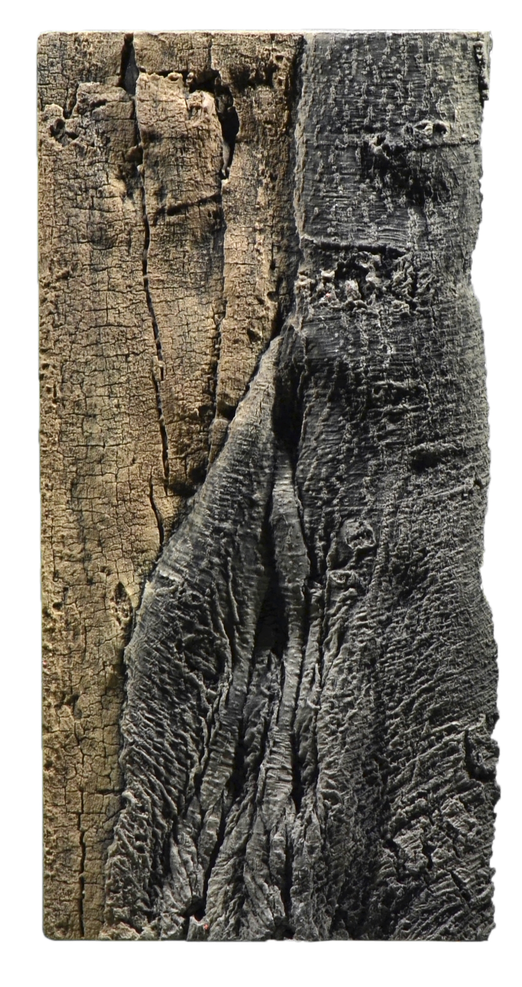 BACK TO NATURE Slimline 50C Amazonas 20x45 cm