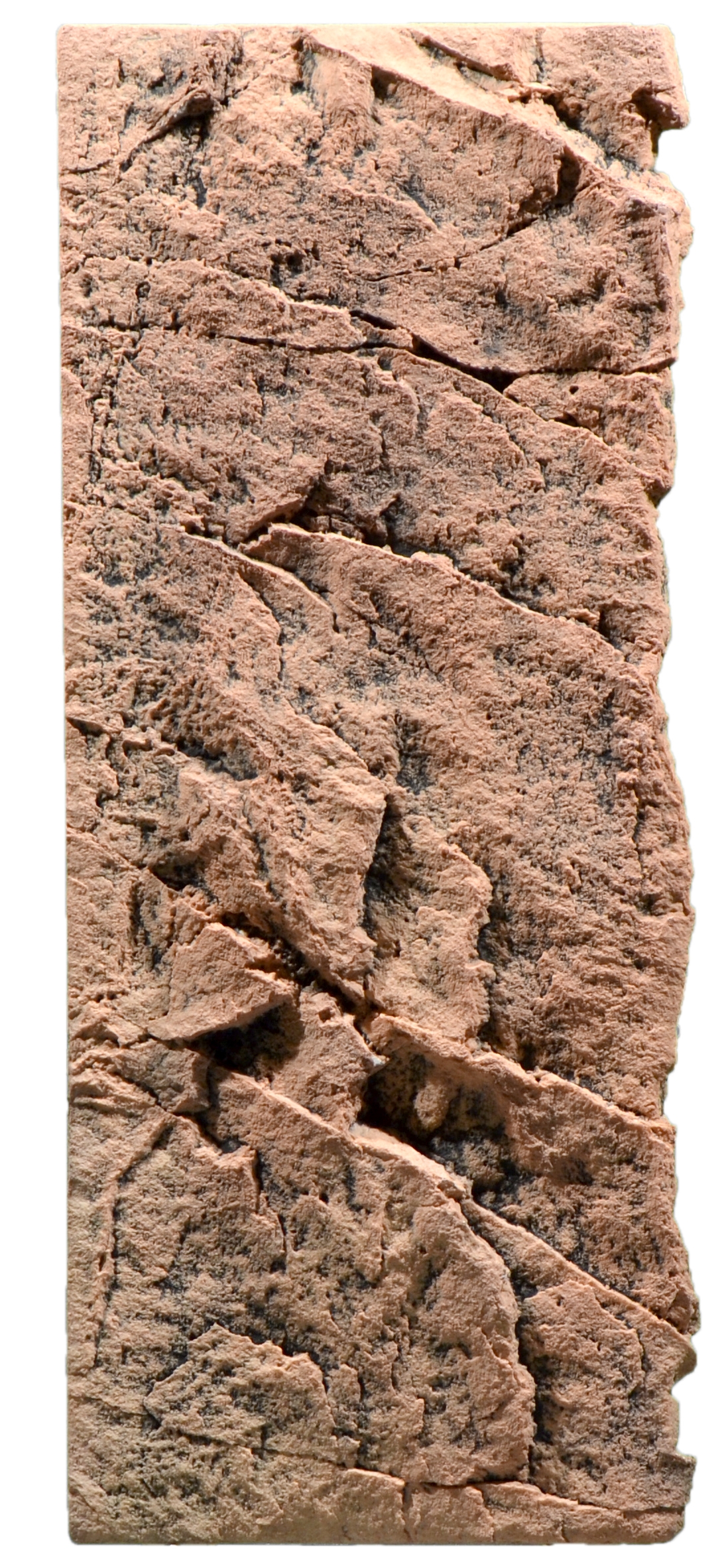 BACK TO NATURE Slimline 60C Red Gneiss 20x55 cm