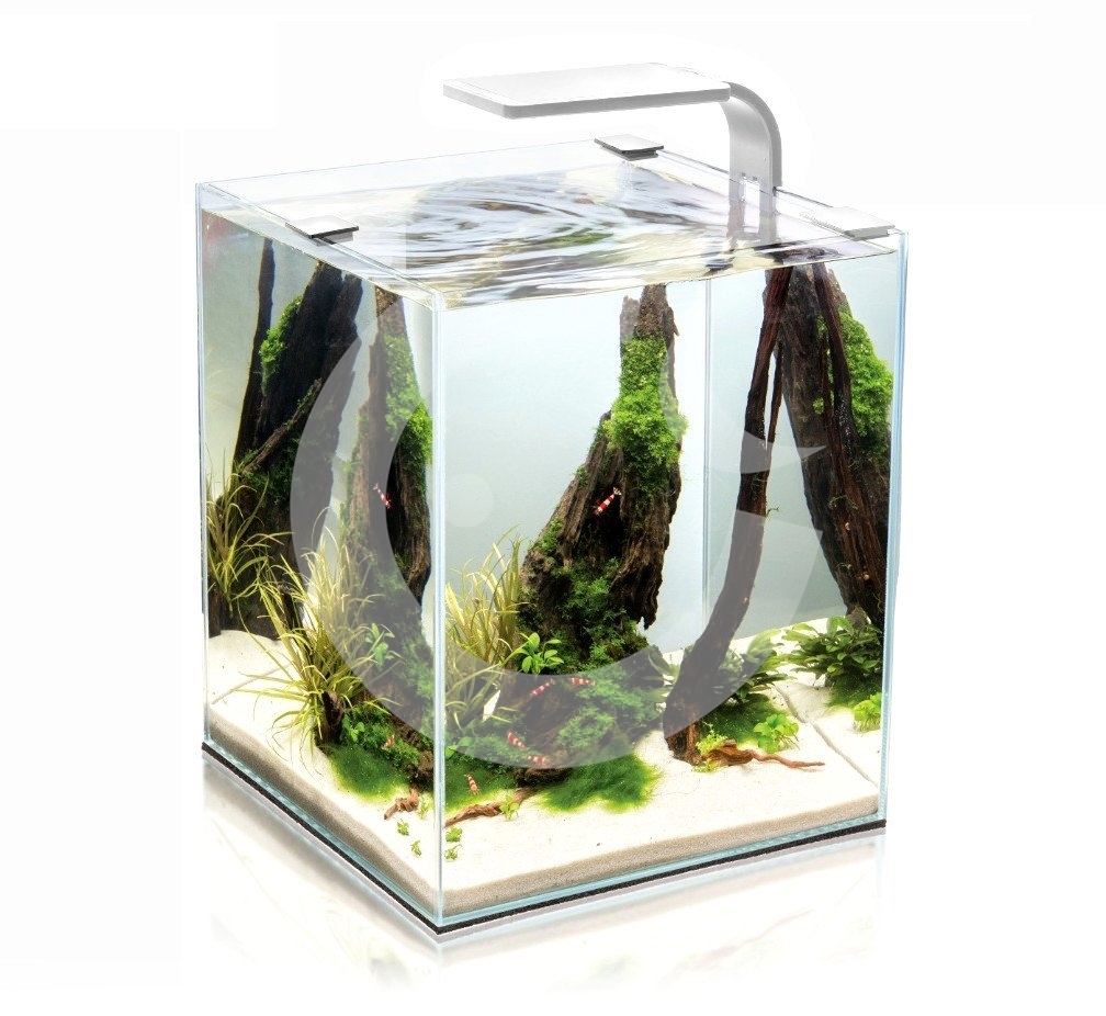 AQUAEL Shrimp Smart akvarijní set, bílá, 20 l