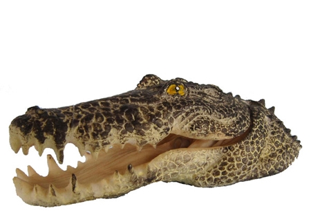 MACENAUER Dekorace Krokodýlí hlava 15 cm