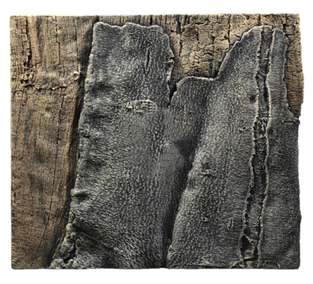BACK TO NATURE Slimline 50B Amazonas 50x45 cm