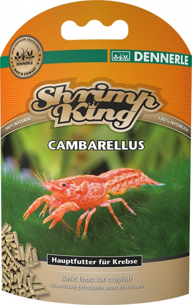 DENNERLE Shrimp King Cambarellus