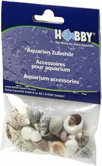 HOBBY mušle Sea Shells Set S, 20ks v balení