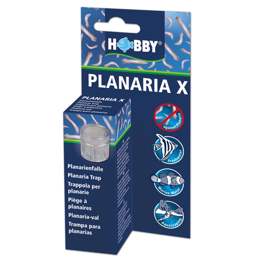 HOBBY Past na ploštěnky Planaria X