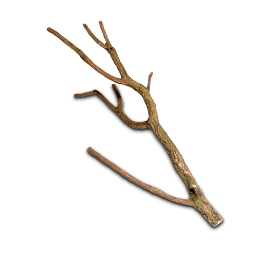 Macenauer Korková větev do 50 cm