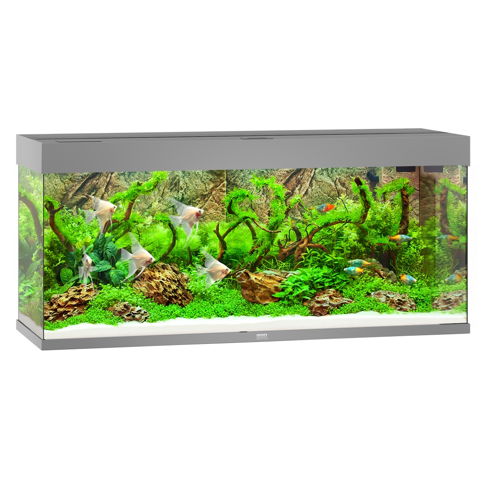 JUWEL Akvarijní set Rio 240 LED, šedý, 240 l