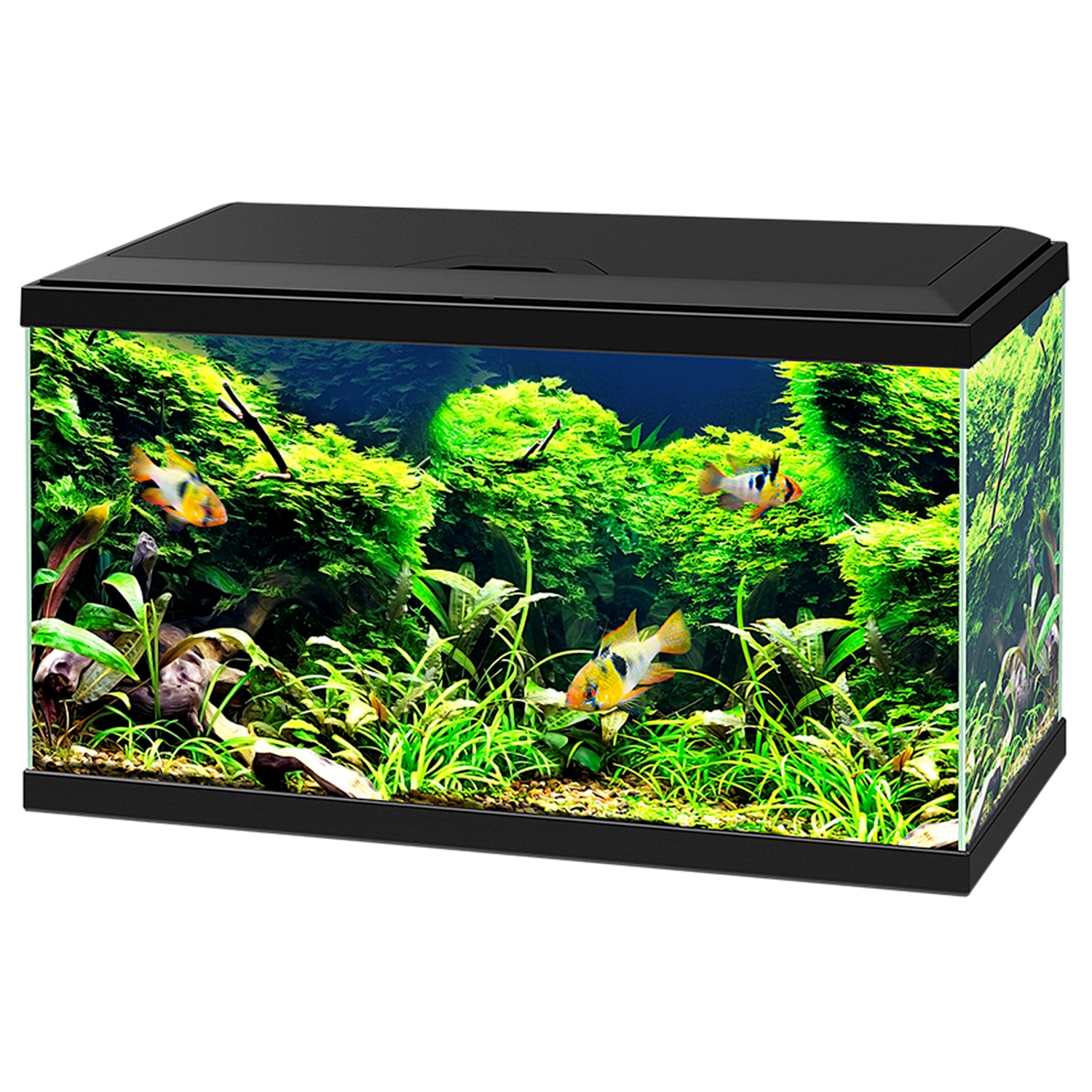 CIANO Akvarijní set Aquarium 60, černé, 58 l