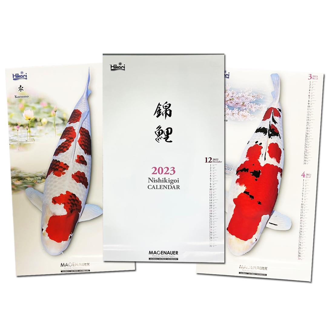HIKARI Nishikigoi kalendář 2023