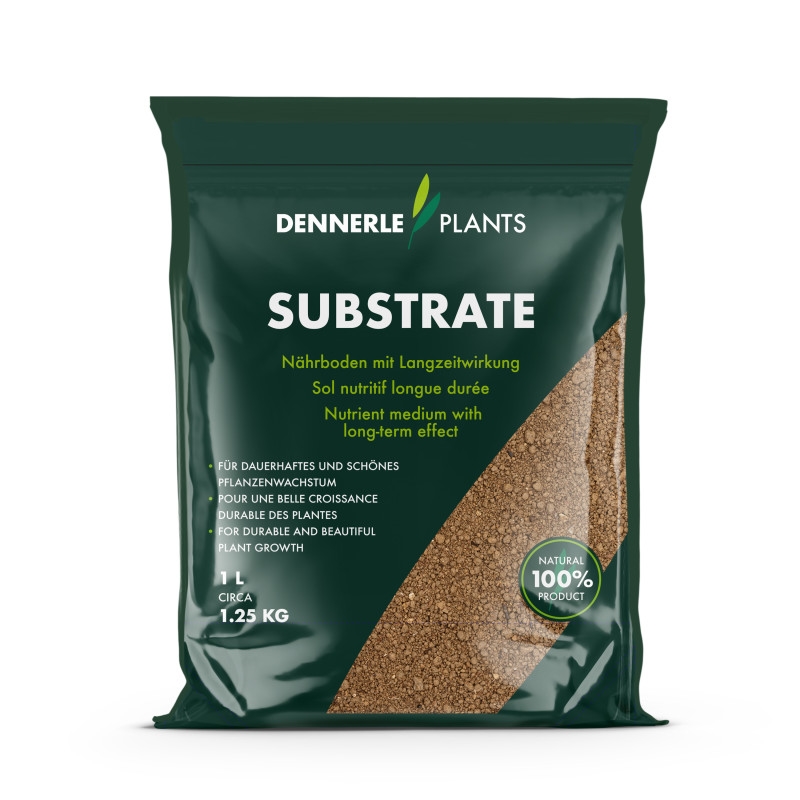 DENNERLE PLANTS Substrate, 1l