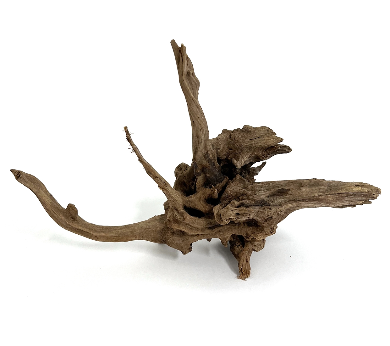 MACENAUER Kořen Black Slim Wood M, 28-42cm