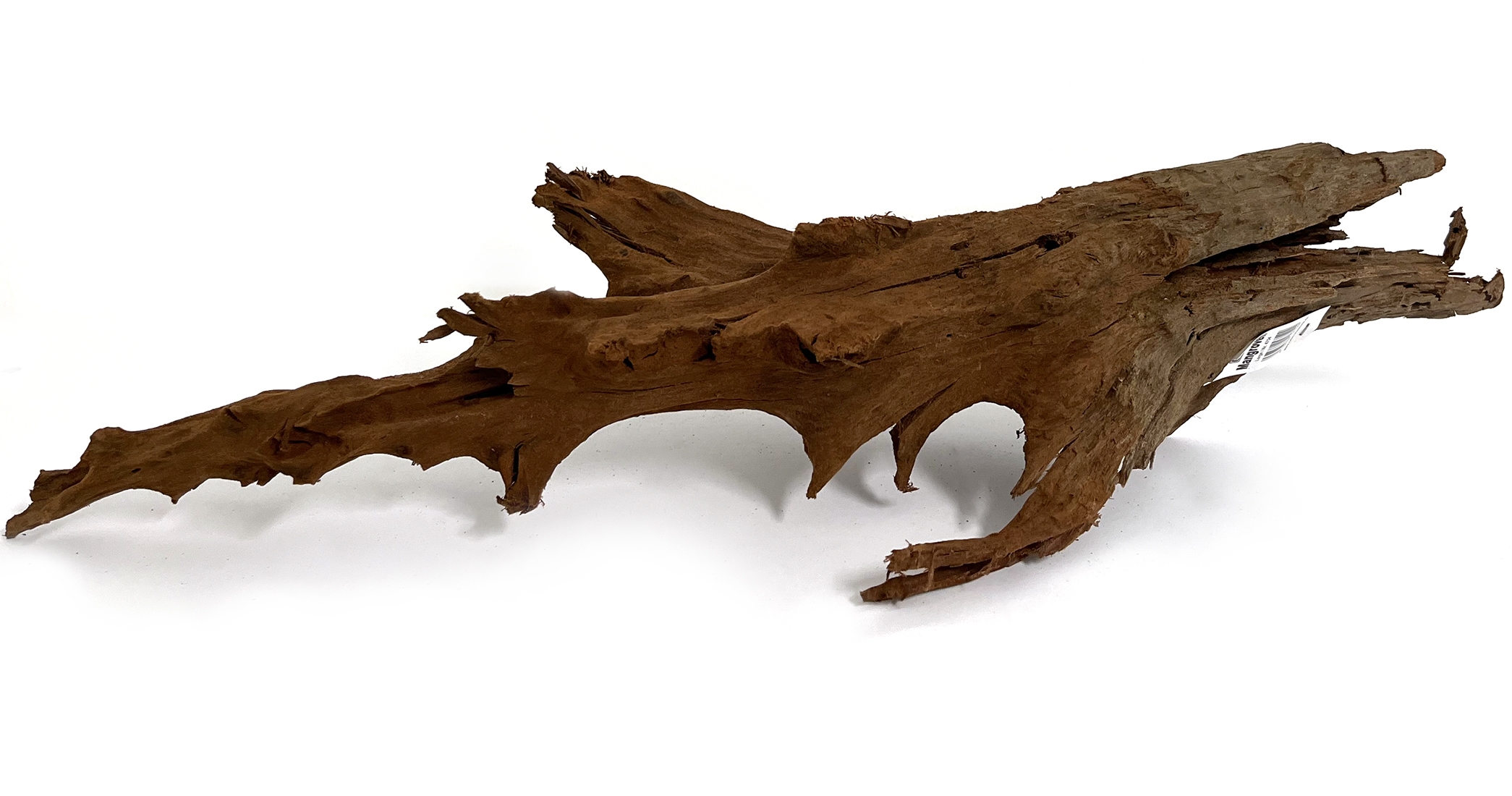MACENAUER Mangroven-Wurzel XL, 80-90 cm