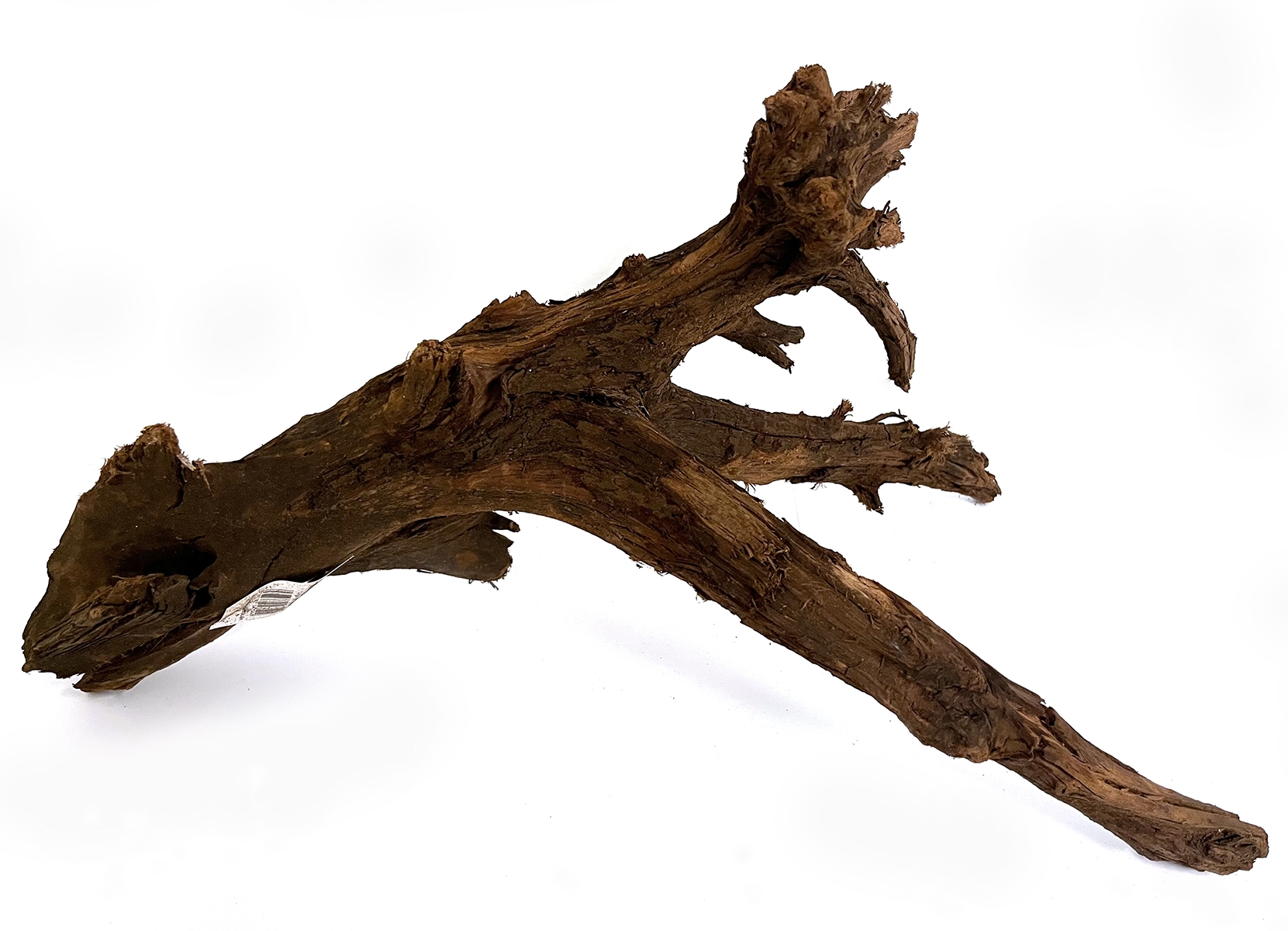 MACENAUER Mangroven-Wurzel, velký 35-60 cm