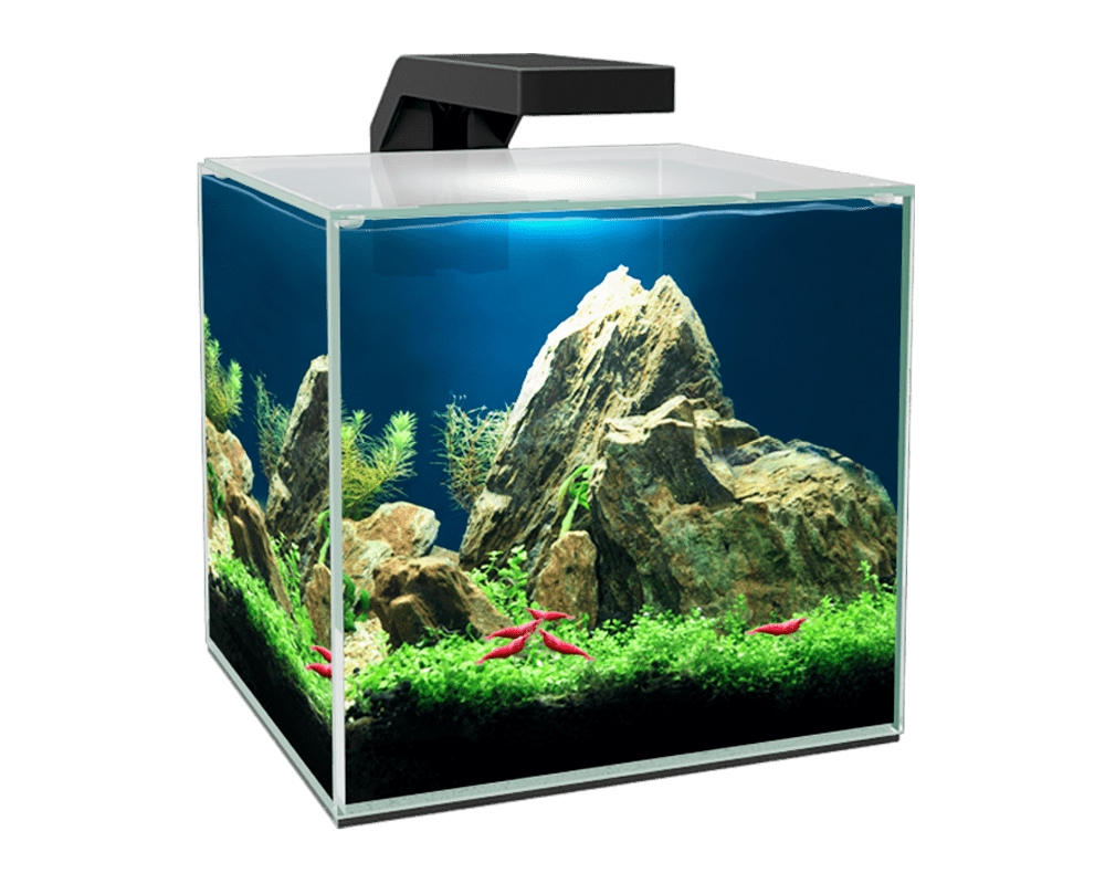 CIANO Akvárium Cube 15 Clear, 14 l