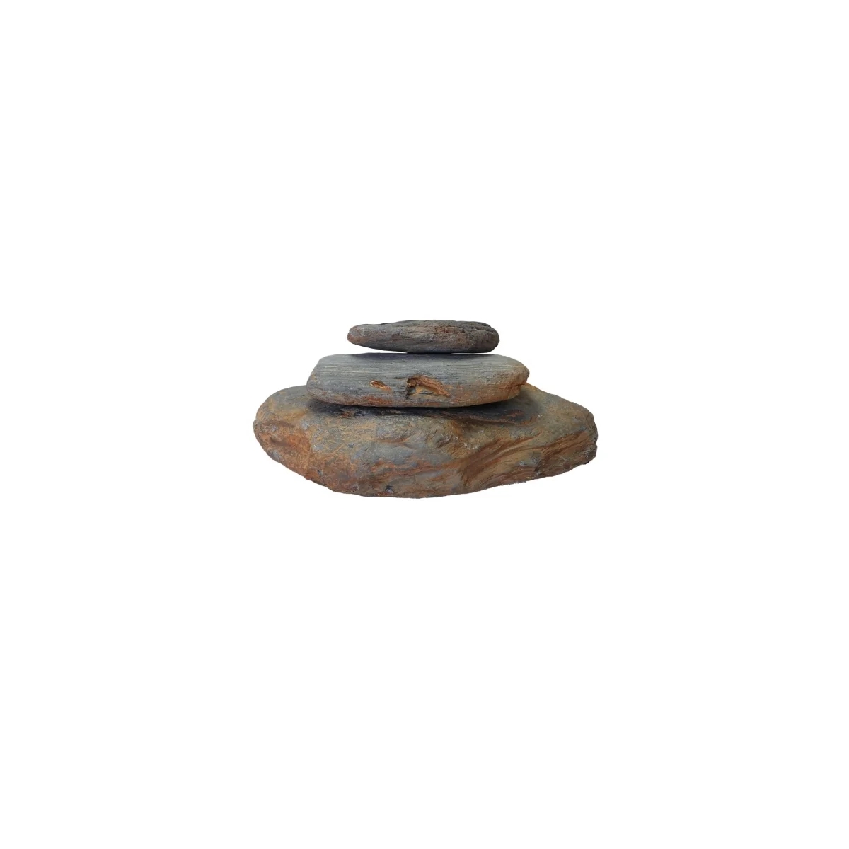 Blue Marbled Rock M