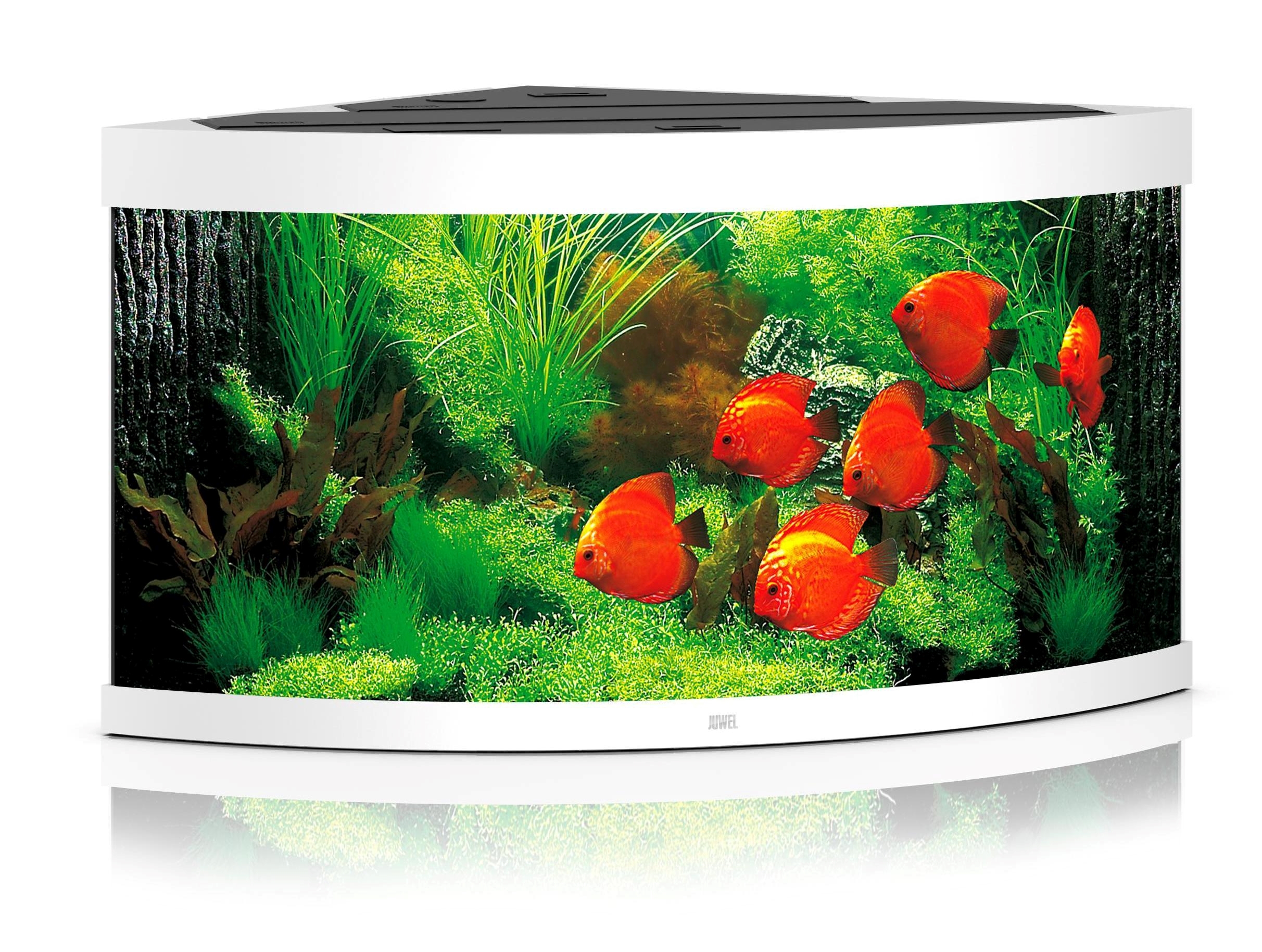 Akvárium Juwel trigon 350 LED bílé