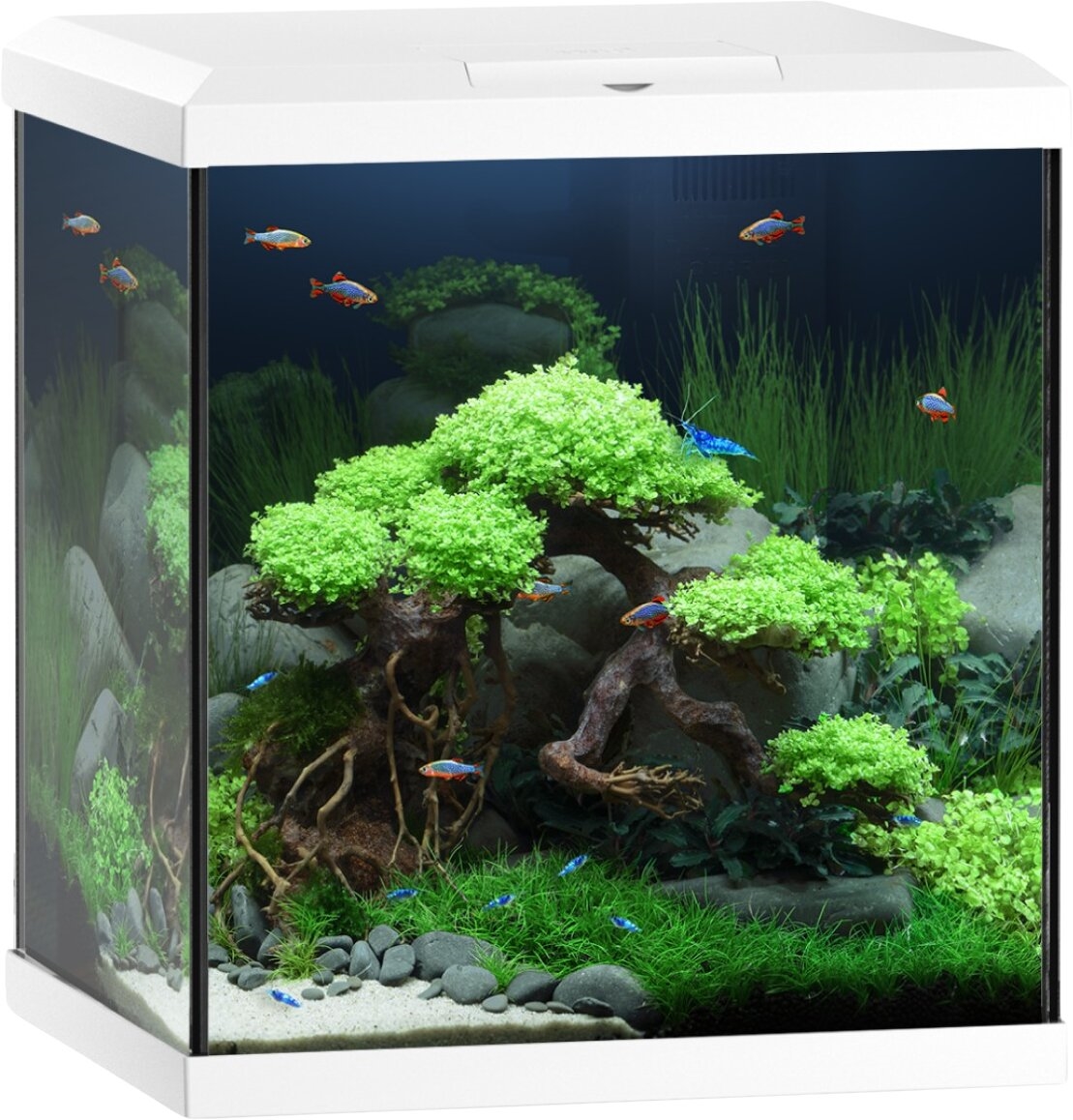 Juwel Akvárium Vio Cube 54, bílé, 54 l