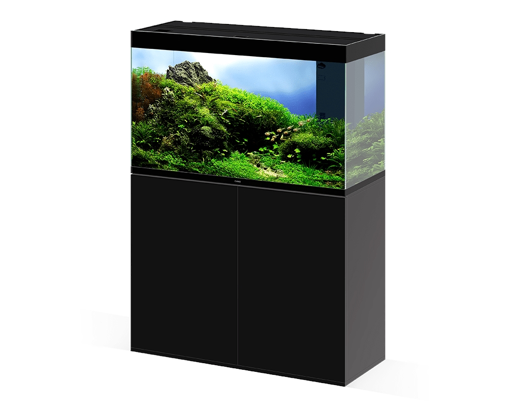 CIANO Aquarium Emotions Pro 100 Black EUR