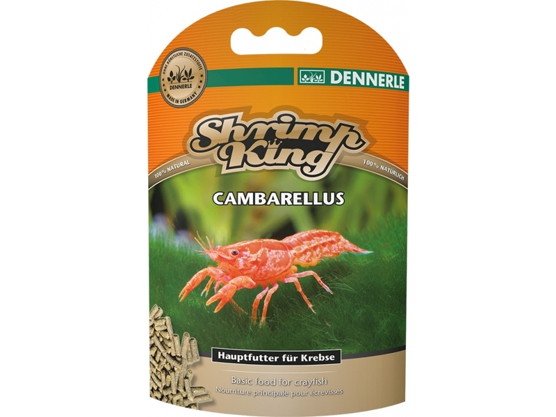 DENNERLE Shrimp King Cambarellus
