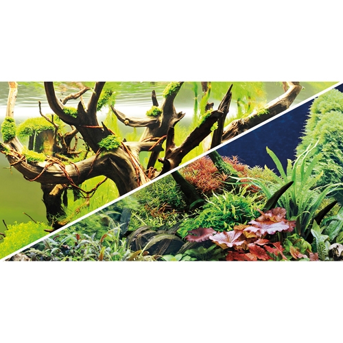 HOBBY Pozadí Regenwald 50x100 cm SB