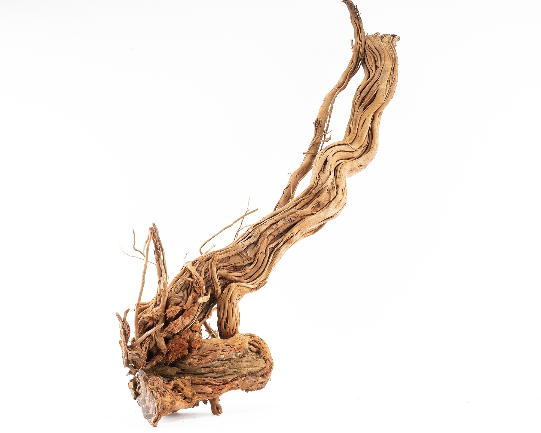 Curl Wood 81228