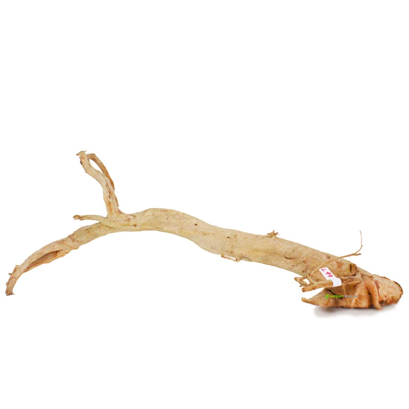Finger Wood 81229