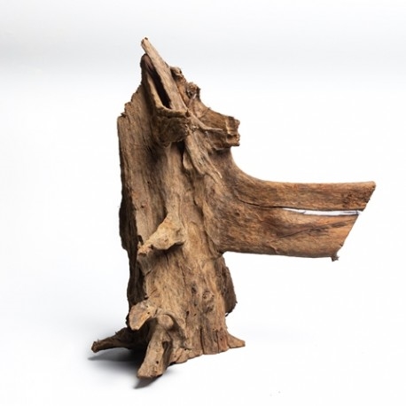 Mangrovenholz L 35-65cm
