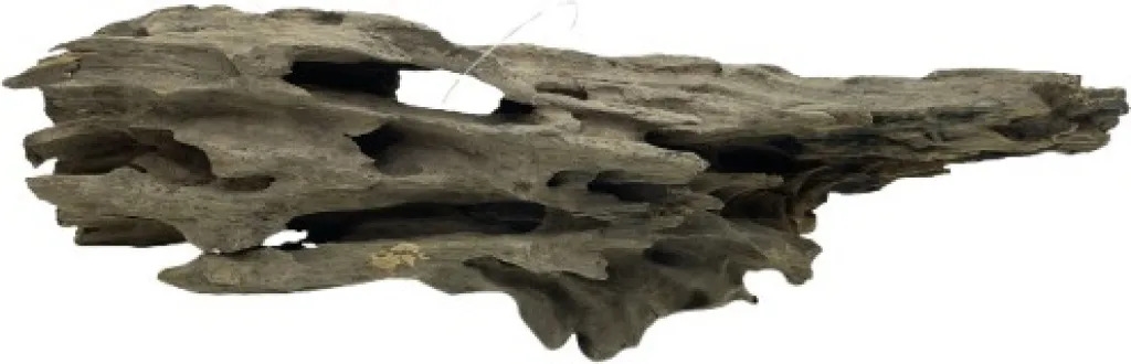 River Wood, S, 20-35 cm