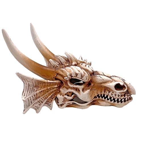 Akvarijní a terarijní dekorace – Dragon Skull