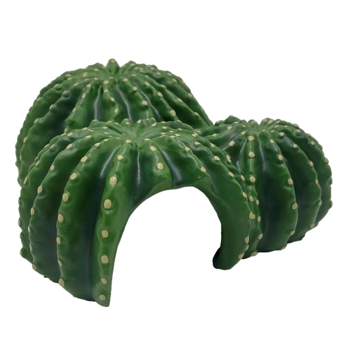 Dekorace Cactus home 6 