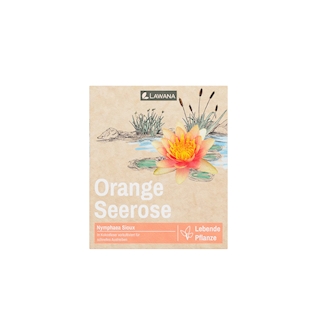 LAWANA Nymphaea Natura, leknín oranžový