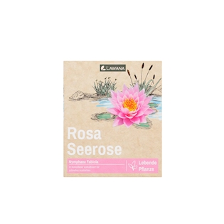 LAWANA Nymphaea Natura, leknín růžový